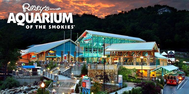 Modern Style, Arcade, Fire Pit, Pet Friendly Villa Pigeon Forge Kültér fotó